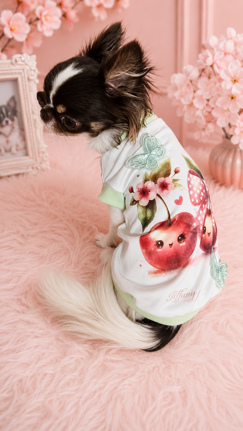 🍒 Ciliegiamo love – Magliettina Couture per Chihuahua ✨🦋 taglia s