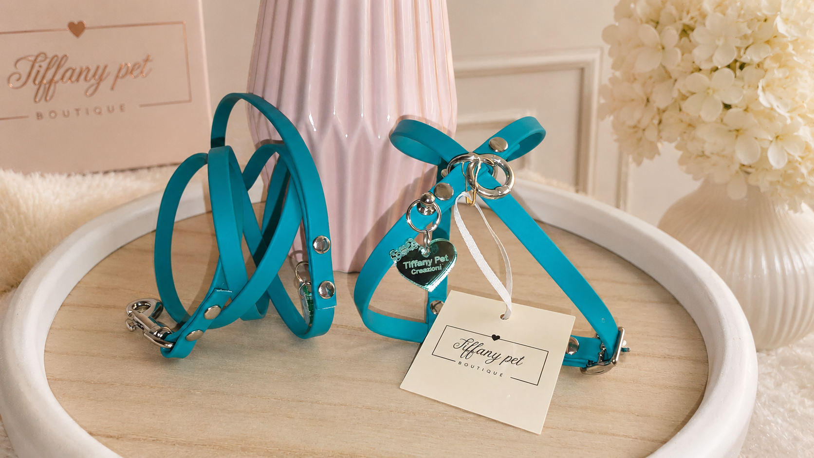 set pettorina e guinzaglio biothane 